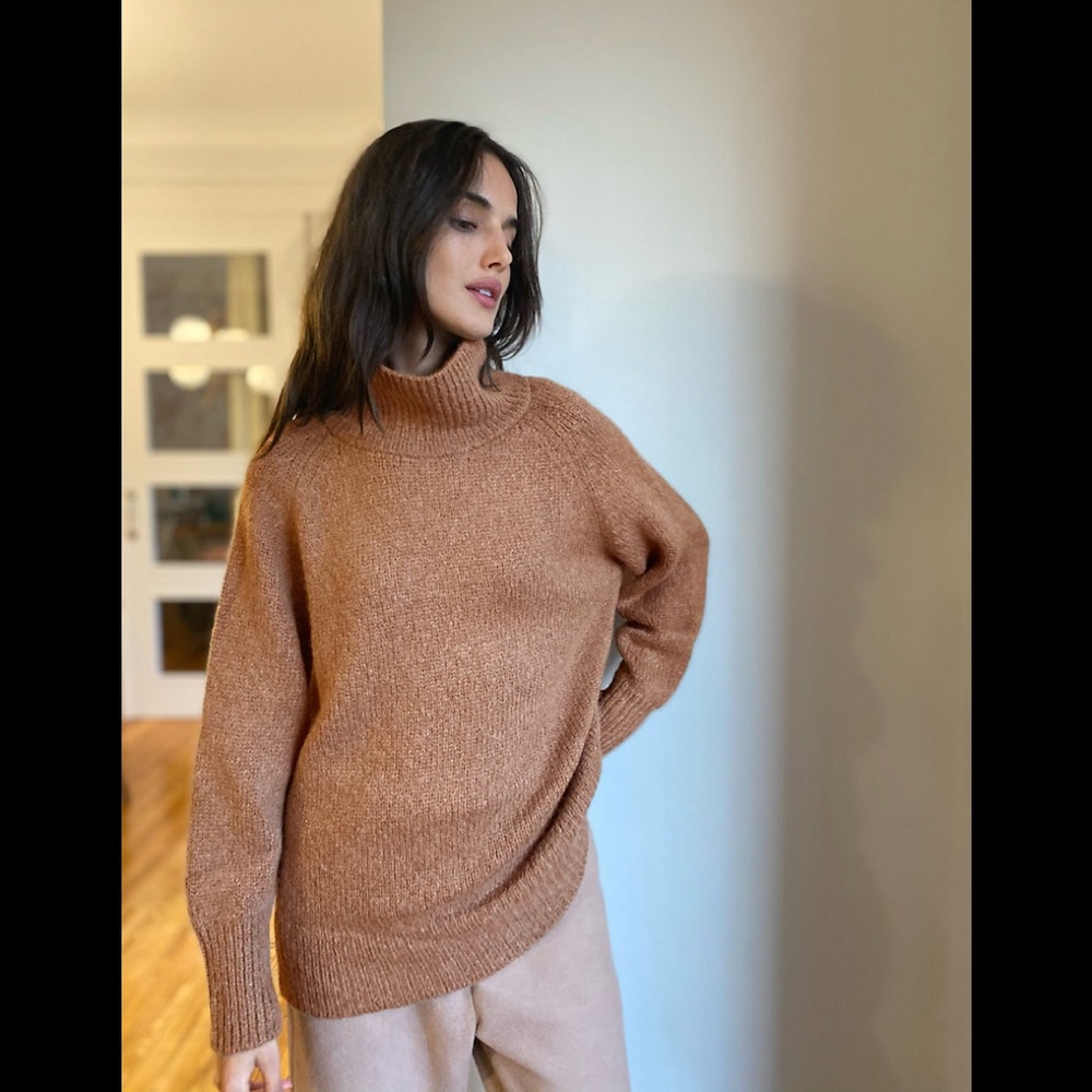 Aritzia day off turtleneck